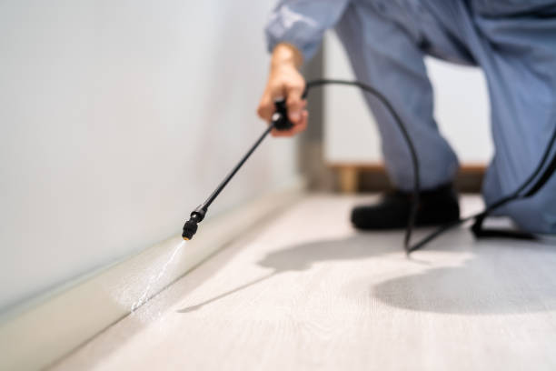 Best Best Pest Control Companies  in Fort Totten, ND