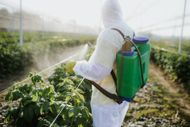Best Pest Removal Services  in Fort Totten, ND